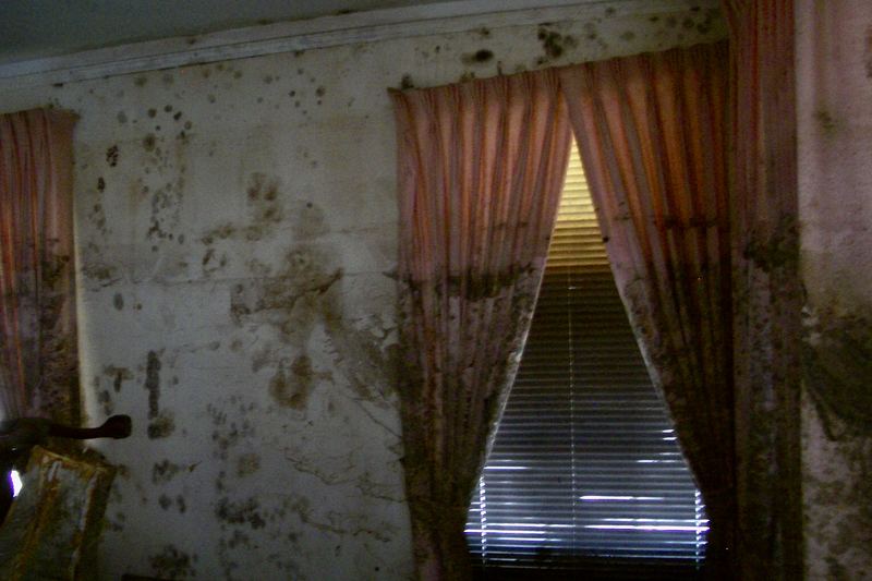 Flood-damaged living room with ruined furnishings