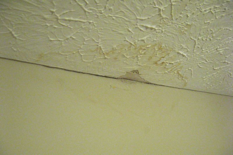 Interior wall and finishes damaged by water